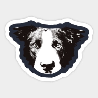 Border Collie - Border Collie Christmas Gifts Sticker